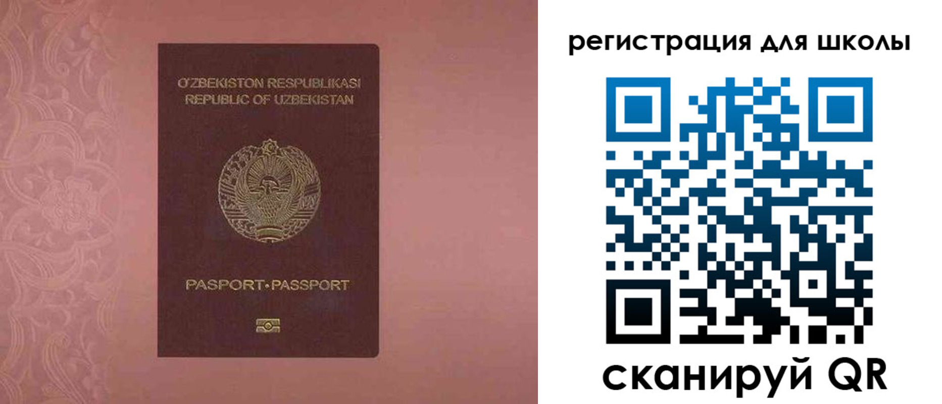 прописка для школы в Бавлах